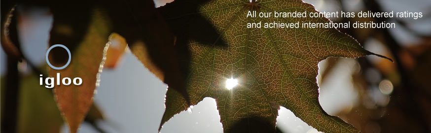 banner5.jpg
